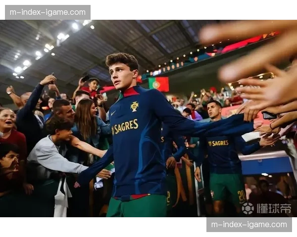 葡萄牙若昂内维斯年轻后腰，大赛经验与防守位置感面临考验